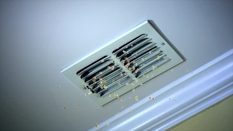 Best Affordable Duct Cleaning Services  in Advae, NC